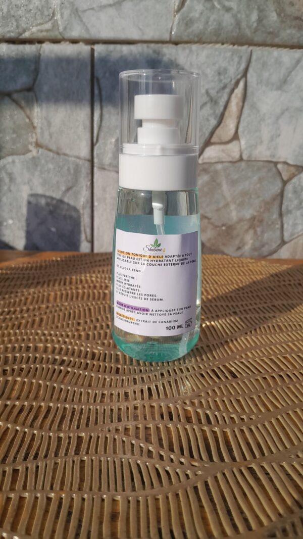 LOTION TONIQUE NATURELLE A L'AIELE