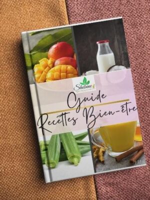 E-BOOK - GUIDE RECETTES BIEN-ETRE