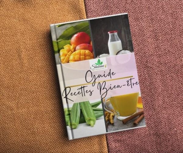 E-BOOK - GUIDE RECETTES BIEN-ETRE